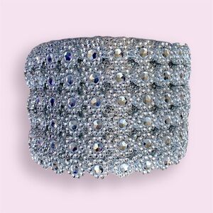 Roll of silvery jewel fringe for garments